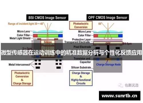微型传感器在运动训练中的精准数据分析与个性化反馈应用